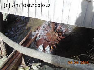 [P13] apa la moara » foto by Denisa13
 - 
<span class="allrVoted glyphicon glyphicon-heart hidden" id="av957522"></span>
<a class="m-l-10 hidden" id="sv957522" onclick="voting_Foto_DelVot(,957522,15101)" role="button">șterge vot <span class="glyphicon glyphicon-remove"></span></a>
<a id="v9957522" class=" c-red"  onclick="voting_Foto_SetVot(957522)" role="button"><span class="glyphicon glyphicon-heart-empty"></span> <b>LIKE</b> = Votează poza</a> <img class="hidden"  id="f957522W9" src="/imagini/loader.gif" border="0" /><span class="AjErrMes hidden" id="e957522ErM"></span>