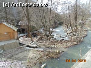 [P18] 4 mori pe cursuri diferite de apa » foto by Denisa13
 - 
<span class="allrVoted glyphicon glyphicon-heart hidden" id="av957527"></span>
<a class="m-l-10 hidden" id="sv957527" onclick="voting_Foto_DelVot(,957527,15101)" role="button">șterge vot <span class="glyphicon glyphicon-remove"></span></a>
<a id="v9957527" class=" c-red"  onclick="voting_Foto_SetVot(957527)" role="button"><span class="glyphicon glyphicon-heart-empty"></span> <b>LIKE</b> = Votează poza</a> <img class="hidden"  id="f957527W9" src="/imagini/loader.gif" border="0" /><span class="AjErrMes hidden" id="e957527ErM"></span>