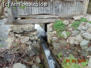 [P24] moara Firiz in actiune » foto by Denisa13
 - 
<span class="allrVoted glyphicon glyphicon-heart hidden" id="av957533"></span>
<a class="m-l-10 hidden" id="sv957533" onclick="voting_Foto_DelVot(,957533,15101)" role="button">șterge vot <span class="glyphicon glyphicon-remove"></span></a>
<a id="v9957533" class=" c-red"  onclick="voting_Foto_SetVot(957533)" role="button"><span class="glyphicon glyphicon-heart-empty"></span> <b>LIKE</b> = Votează poza</a> <img class="hidden"  id="f957533W9" src="/imagini/loader.gif" border="0" /><span class="AjErrMes hidden" id="e957533ErM"></span>