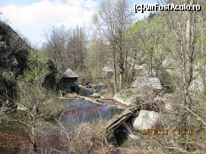 [P01]  -- <small>// FĂRĂ DESCRIERE</small> » foto by zorinabarna
 - 
<span class="allrVoted glyphicon glyphicon-heart hidden" id="av502523"></span>
<a class="m-l-10 hidden" id="sv502523" onclick="voting_Foto_DelVot(,502523,15101)" role="button">șterge vot <span class="glyphicon glyphicon-remove"></span></a>
<a id="v9502523" class=" c-red"  onclick="voting_Foto_SetVot(502523)" role="button"><span class="glyphicon glyphicon-heart-empty"></span> <b>LIKE</b> = Votează poza</a> <img class="hidden"  id="f502523W9" src="/imagini/loader.gif" border="0" /><span class="AjErrMes hidden" id="e502523ErM"></span>