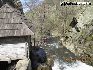 [P10]  -- <small>// FĂRĂ DESCRIERE</small> » foto by zorinabarna
 - 
<span class="allrVoted glyphicon glyphicon-heart hidden" id="av502533"></span>
<a class="m-l-10 hidden" id="sv502533" onclick="voting_Foto_DelVot(,502533,15101)" role="button">șterge vot <span class="glyphicon glyphicon-remove"></span></a>
<a id="v9502533" class=" c-red"  onclick="voting_Foto_SetVot(502533)" role="button"><span class="glyphicon glyphicon-heart-empty"></span> <b>LIKE</b> = Votează poza</a> <img class="hidden"  id="f502533W9" src="/imagini/loader.gif" border="0" /><span class="AjErrMes hidden" id="e502533ErM"></span>