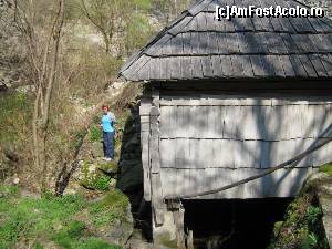 [P11]  -- <small>// FĂRĂ DESCRIERE</small> » foto by zorinabarna
 - 
<span class="allrVoted glyphicon glyphicon-heart hidden" id="av502534"></span>
<a class="m-l-10 hidden" id="sv502534" onclick="voting_Foto_DelVot(,502534,15101)" role="button">șterge vot <span class="glyphicon glyphicon-remove"></span></a>
<a id="v9502534" class=" c-red"  onclick="voting_Foto_SetVot(502534)" role="button"><span class="glyphicon glyphicon-heart-empty"></span> <b>LIKE</b> = Votează poza</a> <img class="hidden"  id="f502534W9" src="/imagini/loader.gif" border="0" /><span class="AjErrMes hidden" id="e502534ErM"></span>