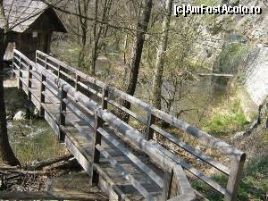 [P12]  -- <small>// FĂRĂ DESCRIERE</small> » foto by zorinabarna
 - 
<span class="allrVoted glyphicon glyphicon-heart hidden" id="av502535"></span>
<a class="m-l-10 hidden" id="sv502535" onclick="voting_Foto_DelVot(,502535,15101)" role="button">șterge vot <span class="glyphicon glyphicon-remove"></span></a>
<a id="v9502535" class=" c-red"  onclick="voting_Foto_SetVot(502535)" role="button"><span class="glyphicon glyphicon-heart-empty"></span> <b>LIKE</b> = Votează poza</a> <img class="hidden"  id="f502535W9" src="/imagini/loader.gif" border="0" /><span class="AjErrMes hidden" id="e502535ErM"></span>