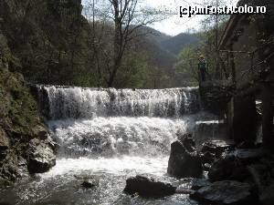 [P13]  -- <small>// FĂRĂ DESCRIERE</small> » foto by zorinabarna
 - 
<span class="allrVoted glyphicon glyphicon-heart hidden" id="av502536"></span>
<a class="m-l-10 hidden" id="sv502536" onclick="voting_Foto_DelVot(,502536,15101)" role="button">șterge vot <span class="glyphicon glyphicon-remove"></span></a>
<a id="v9502536" class=" c-red"  onclick="voting_Foto_SetVot(502536)" role="button"><span class="glyphicon glyphicon-heart-empty"></span> <b>LIKE</b> = Votează poza</a> <img class="hidden"  id="f502536W9" src="/imagini/loader.gif" border="0" /><span class="AjErrMes hidden" id="e502536ErM"></span>