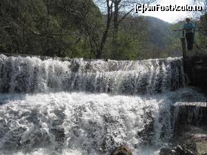 [P14]  -- <small>// FĂRĂ DESCRIERE</small> » foto by zorinabarna
 - 
<span class="allrVoted glyphicon glyphicon-heart hidden" id="av502537"></span>
<a class="m-l-10 hidden" id="sv502537" onclick="voting_Foto_DelVot(,502537,15101)" role="button">șterge vot <span class="glyphicon glyphicon-remove"></span></a>
<a id="v9502537" class=" c-red"  onclick="voting_Foto_SetVot(502537)" role="button"><span class="glyphicon glyphicon-heart-empty"></span> <b>LIKE</b> = Votează poza</a> <img class="hidden"  id="f502537W9" src="/imagini/loader.gif" border="0" /><span class="AjErrMes hidden" id="e502537ErM"></span>