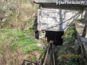 [P03]  -- <small>// FĂRĂ DESCRIERE</small> » foto by zorinabarna
 - 
<span class="allrVoted glyphicon glyphicon-heart hidden" id="av502526"></span>
<a class="m-l-10 hidden" id="sv502526" onclick="voting_Foto_DelVot(,502526,15101)" role="button">șterge vot <span class="glyphicon glyphicon-remove"></span></a>
<a id="v9502526" class=" c-red"  onclick="voting_Foto_SetVot(502526)" role="button"><span class="glyphicon glyphicon-heart-empty"></span> <b>LIKE</b> = Votează poza</a> <img class="hidden"  id="f502526W9" src="/imagini/loader.gif" border="0" /><span class="AjErrMes hidden" id="e502526ErM"></span>