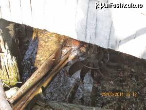 [P04]  -- <small>// FĂRĂ DESCRIERE</small> » foto by zorinabarna
 - 
<span class="allrVoted glyphicon glyphicon-heart hidden" id="av502527"></span>
<a class="m-l-10 hidden" id="sv502527" onclick="voting_Foto_DelVot(,502527,15101)" role="button">șterge vot <span class="glyphicon glyphicon-remove"></span></a>
<a id="v9502527" class=" c-red"  onclick="voting_Foto_SetVot(502527)" role="button"><span class="glyphicon glyphicon-heart-empty"></span> <b>LIKE</b> = Votează poza</a> <img class="hidden"  id="f502527W9" src="/imagini/loader.gif" border="0" /><span class="AjErrMes hidden" id="e502527ErM"></span>