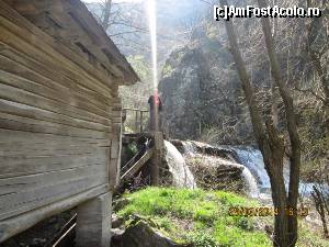 [P05]  -- <small>// FĂRĂ DESCRIERE</small> » foto by zorinabarna
 - 
<span class="allrVoted glyphicon glyphicon-heart hidden" id="av502528"></span>
<a class="m-l-10 hidden" id="sv502528" onclick="voting_Foto_DelVot(,502528,15101)" role="button">șterge vot <span class="glyphicon glyphicon-remove"></span></a>
<a id="v9502528" class=" c-red"  onclick="voting_Foto_SetVot(502528)" role="button"><span class="glyphicon glyphicon-heart-empty"></span> <b>LIKE</b> = Votează poza</a> <img class="hidden"  id="f502528W9" src="/imagini/loader.gif" border="0" /><span class="AjErrMes hidden" id="e502528ErM"></span>