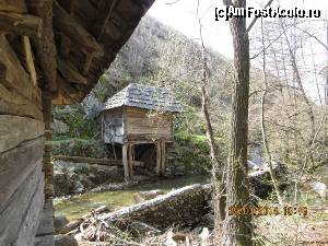 [P06]  -- <small>// FĂRĂ DESCRIERE</small> » foto by zorinabarna
 - 
<span class="allrVoted glyphicon glyphicon-heart hidden" id="av502529"></span>
<a class="m-l-10 hidden" id="sv502529" onclick="voting_Foto_DelVot(,502529,15101)" role="button">șterge vot <span class="glyphicon glyphicon-remove"></span></a>
<a id="v9502529" class=" c-red"  onclick="voting_Foto_SetVot(502529)" role="button"><span class="glyphicon glyphicon-heart-empty"></span> <b>LIKE</b> = Votează poza</a> <img class="hidden"  id="f502529W9" src="/imagini/loader.gif" border="0" /><span class="AjErrMes hidden" id="e502529ErM"></span>