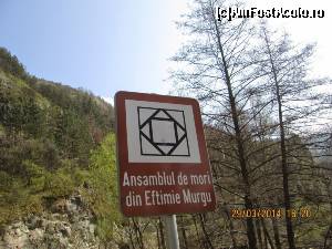 [P07]  -- <small>// FĂRĂ DESCRIERE</small> » foto by zorinabarna
 - 
<span class="allrVoted glyphicon glyphicon-heart hidden" id="av502530"></span>
<a class="m-l-10 hidden" id="sv502530" onclick="voting_Foto_DelVot(,502530,15101)" role="button">șterge vot <span class="glyphicon glyphicon-remove"></span></a>
<a id="v9502530" class=" c-red"  onclick="voting_Foto_SetVot(502530)" role="button"><span class="glyphicon glyphicon-heart-empty"></span> <b>LIKE</b> = Votează poza</a> <img class="hidden"  id="f502530W9" src="/imagini/loader.gif" border="0" /><span class="AjErrMes hidden" id="e502530ErM"></span>