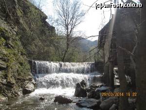 [P08]  -- <small>// FĂRĂ DESCRIERE</small> » foto by zorinabarna
 - 
<span class="allrVoted glyphicon glyphicon-heart hidden" id="av502531"></span>
<a class="m-l-10 hidden" id="sv502531" onclick="voting_Foto_DelVot(,502531,15101)" role="button">șterge vot <span class="glyphicon glyphicon-remove"></span></a>
<a id="v9502531" class=" c-red"  onclick="voting_Foto_SetVot(502531)" role="button"><span class="glyphicon glyphicon-heart-empty"></span> <b>LIKE</b> = Votează poza</a> <img class="hidden"  id="f502531W9" src="/imagini/loader.gif" border="0" /><span class="AjErrMes hidden" id="e502531ErM"></span>