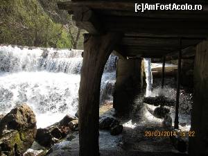 [P09]  -- <small>// FĂRĂ DESCRIERE</small> » foto by zorinabarna
 - 
<span class="allrVoted glyphicon glyphicon-heart hidden" id="av502532"></span>
<a class="m-l-10 hidden" id="sv502532" onclick="voting_Foto_DelVot(,502532,15101)" role="button">șterge vot <span class="glyphicon glyphicon-remove"></span></a>
<a id="v9502532" class=" c-red"  onclick="voting_Foto_SetVot(502532)" role="button"><span class="glyphicon glyphicon-heart-empty"></span> <b>LIKE</b> = Votează poza</a> <img class="hidden"  id="f502532W9" src="/imagini/loader.gif" border="0" /><span class="AjErrMes hidden" id="e502532ErM"></span>