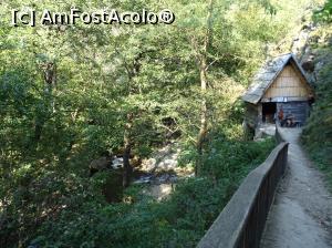 [P11] Morile de apă de pe Valea Rudăriei - Moara cu tunel » foto by Cris
 - 
<span class="allrVoted glyphicon glyphicon-heart hidden" id="av833253"></span>
<a class="m-l-10 hidden" id="sv833253" onclick="voting_Foto_DelVot(,833253,15101)" role="button">șterge vot <span class="glyphicon glyphicon-remove"></span></a>
<a id="v9833253" class=" c-red"  onclick="voting_Foto_SetVot(833253)" role="button"><span class="glyphicon glyphicon-heart-empty"></span> <b>LIKE</b> = Votează poza</a> <img class="hidden"  id="f833253W9" src="/imagini/loader.gif" border="0" /><span class="AjErrMes hidden" id="e833253ErM"></span>