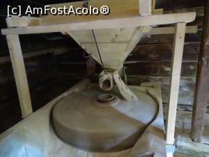 [P14] Morile de apă de pe Valea Rudăriei » foto by Cris
 - 
<span class="allrVoted glyphicon glyphicon-heart hidden" id="av833256"></span>
<a class="m-l-10 hidden" id="sv833256" onclick="voting_Foto_DelVot(,833256,15101)" role="button">șterge vot <span class="glyphicon glyphicon-remove"></span></a>
<a id="v9833256" class=" c-red"  onclick="voting_Foto_SetVot(833256)" role="button"><span class="glyphicon glyphicon-heart-empty"></span> <b>LIKE</b> = Votează poza</a> <img class="hidden"  id="f833256W9" src="/imagini/loader.gif" border="0" /><span class="AjErrMes hidden" id="e833256ErM"></span>