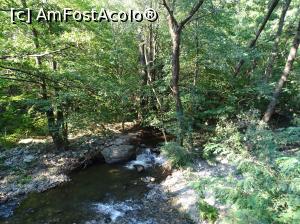 [P18] Morile de apă de pe Valea Rudăriei » foto by Cris
 - 
<span class="allrVoted glyphicon glyphicon-heart hidden" id="av833260"></span>
<a class="m-l-10 hidden" id="sv833260" onclick="voting_Foto_DelVot(,833260,15101)" role="button">șterge vot <span class="glyphicon glyphicon-remove"></span></a>
<a id="v9833260" class=" c-red"  onclick="voting_Foto_SetVot(833260)" role="button"><span class="glyphicon glyphicon-heart-empty"></span> <b>LIKE</b> = Votează poza</a> <img class="hidden"  id="f833260W9" src="/imagini/loader.gif" border="0" /><span class="AjErrMes hidden" id="e833260ErM"></span>