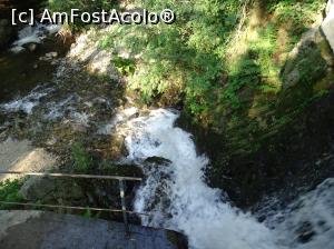 [P19] Morile de apă de pe Valea Rudăriei » foto by Cris
 - 
<span class="allrVoted glyphicon glyphicon-heart hidden" id="av833261"></span>
<a class="m-l-10 hidden" id="sv833261" onclick="voting_Foto_DelVot(,833261,15101)" role="button">șterge vot <span class="glyphicon glyphicon-remove"></span></a>
<a id="v9833261" class=" c-red"  onclick="voting_Foto_SetVot(833261)" role="button"><span class="glyphicon glyphicon-heart-empty"></span> <b>LIKE</b> = Votează poza</a> <img class="hidden"  id="f833261W9" src="/imagini/loader.gif" border="0" /><span class="AjErrMes hidden" id="e833261ErM"></span>