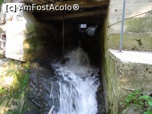 [P20] Morile de apă de pe Valea Rudăriei » foto by Cris
 - 
<span class="allrVoted glyphicon glyphicon-heart hidden" id="av833262"></span>
<a class="m-l-10 hidden" id="sv833262" onclick="voting_Foto_DelVot(,833262,15101)" role="button">șterge vot <span class="glyphicon glyphicon-remove"></span></a>
<a id="v9833262" class=" c-red"  onclick="voting_Foto_SetVot(833262)" role="button"><span class="glyphicon glyphicon-heart-empty"></span> <b>LIKE</b> = Votează poza</a> <img class="hidden"  id="f833262W9" src="/imagini/loader.gif" border="0" /><span class="AjErrMes hidden" id="e833262ErM"></span>
