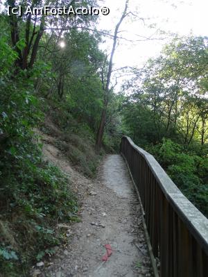 [P22] Morile de apă de pe Valea Rudăriei - așa arată potecile care duc la mori » foto by Cris
 - 
<span class="allrVoted glyphicon glyphicon-heart hidden" id="av833264"></span>
<a class="m-l-10 hidden" id="sv833264" onclick="voting_Foto_DelVot(,833264,15101)" role="button">șterge vot <span class="glyphicon glyphicon-remove"></span></a>
<a id="v9833264" class=" c-red"  onclick="voting_Foto_SetVot(833264)" role="button"><span class="glyphicon glyphicon-heart-empty"></span> <b>LIKE</b> = Votează poza</a> <img class="hidden"  id="f833264W9" src="/imagini/loader.gif" border="0" /><span class="AjErrMes hidden" id="e833264ErM"></span>