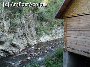 [P25] Morile de apă de pe Valea Rudăriei » foto by Cris
 - 
<span class="allrVoted glyphicon glyphicon-heart hidden" id="av833267"></span>
<a class="m-l-10 hidden" id="sv833267" onclick="voting_Foto_DelVot(,833267,15101)" role="button">șterge vot <span class="glyphicon glyphicon-remove"></span></a>
<a id="v9833267" class=" c-red"  onclick="voting_Foto_SetVot(833267)" role="button"><span class="glyphicon glyphicon-heart-empty"></span> <b>LIKE</b> = Votează poza</a> <img class="hidden"  id="f833267W9" src="/imagini/loader.gif" border="0" /><span class="AjErrMes hidden" id="e833267ErM"></span>