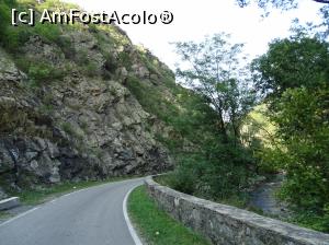 [P26] Morile de apă de pe Valea Rudăriei » foto by Cris
 - 
<span class="allrVoted glyphicon glyphicon-heart hidden" id="av833268"></span>
<a class="m-l-10 hidden" id="sv833268" onclick="voting_Foto_DelVot(,833268,15101)" role="button">șterge vot <span class="glyphicon glyphicon-remove"></span></a>
<a id="v9833268" class=" c-red"  onclick="voting_Foto_SetVot(833268)" role="button"><span class="glyphicon glyphicon-heart-empty"></span> <b>LIKE</b> = Votează poza</a> <img class="hidden"  id="f833268W9" src="/imagini/loader.gif" border="0" /><span class="AjErrMes hidden" id="e833268ErM"></span>