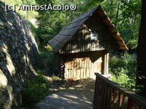 [P27] Morile de apă de pe Valea Rudăriei » foto by Cris
 - 
<span class="allrVoted glyphicon glyphicon-heart hidden" id="av833269"></span>
<a class="m-l-10 hidden" id="sv833269" onclick="voting_Foto_DelVot(,833269,15101)" role="button">șterge vot <span class="glyphicon glyphicon-remove"></span></a>
<a id="v9833269" class=" c-red"  onclick="voting_Foto_SetVot(833269)" role="button"><span class="glyphicon glyphicon-heart-empty"></span> <b>LIKE</b> = Votează poza</a> <img class="hidden"  id="f833269W9" src="/imagini/loader.gif" border="0" /><span class="AjErrMes hidden" id="e833269ErM"></span>