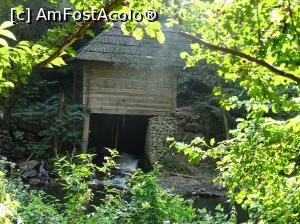 [P28] Morile de apă de pe Valea Rudăriei » foto by Cris
 - 
<span class="allrVoted glyphicon glyphicon-heart hidden" id="av833270"></span>
<a class="m-l-10 hidden" id="sv833270" onclick="voting_Foto_DelVot(,833270,15101)" role="button">șterge vot <span class="glyphicon glyphicon-remove"></span></a>
<a id="v9833270" class=" c-red"  onclick="voting_Foto_SetVot(833270)" role="button"><span class="glyphicon glyphicon-heart-empty"></span> <b>LIKE</b> = Votează poza</a> <img class="hidden"  id="f833270W9" src="/imagini/loader.gif" border="0" /><span class="AjErrMes hidden" id="e833270ErM"></span>