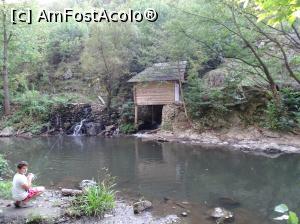 [P29] Morile de apă de pe Valea Rudăriei - cea de-a doua moară pe care am avut norocul să o vedem în funcțiune.  » foto by Cris
 - 
<span class="allrVoted glyphicon glyphicon-heart hidden" id="av833271"></span>
<a class="m-l-10 hidden" id="sv833271" onclick="voting_Foto_DelVot(,833271,15101)" role="button">șterge vot <span class="glyphicon glyphicon-remove"></span></a>
<a id="v9833271" class=" c-red"  onclick="voting_Foto_SetVot(833271)" role="button"><span class="glyphicon glyphicon-heart-empty"></span> <b>LIKE</b> = Votează poza</a> <img class="hidden"  id="f833271W9" src="/imagini/loader.gif" border="0" /><span class="AjErrMes hidden" id="e833271ErM"></span>