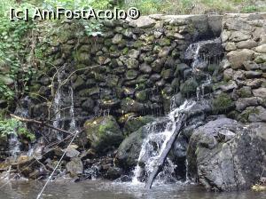 [P32] Morile de apă de pe Valea Rudăriei » foto by Cris
 - 
<span class="allrVoted glyphicon glyphicon-heart hidden" id="av833274"></span>
<a class="m-l-10 hidden" id="sv833274" onclick="voting_Foto_DelVot(,833274,15101)" role="button">șterge vot <span class="glyphicon glyphicon-remove"></span></a>
<a id="v9833274" class=" c-red"  onclick="voting_Foto_SetVot(833274)" role="button"><span class="glyphicon glyphicon-heart-empty"></span> <b>LIKE</b> = Votează poza</a> <img class="hidden"  id="f833274W9" src="/imagini/loader.gif" border="0" /><span class="AjErrMes hidden" id="e833274ErM"></span>