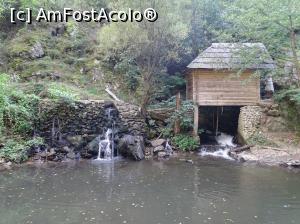 [P34] Morile de apă de pe Valea Rudăriei » foto by Cris
 - 
<span class="allrVoted glyphicon glyphicon-heart hidden" id="av833276"></span>
<a class="m-l-10 hidden" id="sv833276" onclick="voting_Foto_DelVot(,833276,15101)" role="button">șterge vot <span class="glyphicon glyphicon-remove"></span></a>
<a id="v9833276" class=" c-red"  onclick="voting_Foto_SetVot(833276)" role="button"><span class="glyphicon glyphicon-heart-empty"></span> <b>LIKE</b> = Votează poza</a> <img class="hidden"  id="f833276W9" src="/imagini/loader.gif" border="0" /><span class="AjErrMes hidden" id="e833276ErM"></span>