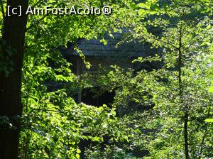 [P35] Morile de apă de pe Valea Rudăriei » foto by Cris
 - 
<span class="allrVoted glyphicon glyphicon-heart hidden" id="av833277"></span>
<a class="m-l-10 hidden" id="sv833277" onclick="voting_Foto_DelVot(,833277,15101)" role="button">șterge vot <span class="glyphicon glyphicon-remove"></span></a>
<a id="v9833277" class=" c-red"  onclick="voting_Foto_SetVot(833277)" role="button"><span class="glyphicon glyphicon-heart-empty"></span> <b>LIKE</b> = Votează poza</a> <img class="hidden"  id="f833277W9" src="/imagini/loader.gif" border="0" /><span class="AjErrMes hidden" id="e833277ErM"></span>