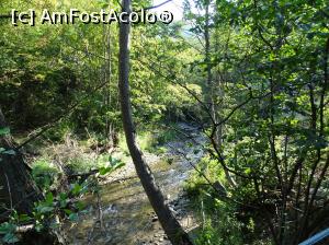 [P04] Valea Rudăriei » foto by Cris
 - 
<span class="allrVoted glyphicon glyphicon-heart hidden" id="av833246"></span>
<a class="m-l-10 hidden" id="sv833246" onclick="voting_Foto_DelVot(,833246,15101)" role="button">șterge vot <span class="glyphicon glyphicon-remove"></span></a>
<a id="v9833246" class=" c-red"  onclick="voting_Foto_SetVot(833246)" role="button"><span class="glyphicon glyphicon-heart-empty"></span> <b>LIKE</b> = Votează poza</a> <img class="hidden"  id="f833246W9" src="/imagini/loader.gif" border="0" /><span class="AjErrMes hidden" id="e833246ErM"></span>