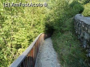 [P08] Morile de apă de pe Valea Rudăriei » foto by Cris
 - 
<span class="allrVoted glyphicon glyphicon-heart hidden" id="av833250"></span>
<a class="m-l-10 hidden" id="sv833250" onclick="voting_Foto_DelVot(,833250,15101)" role="button">șterge vot <span class="glyphicon glyphicon-remove"></span></a>
<a id="v9833250" class=" c-red"  onclick="voting_Foto_SetVot(833250)" role="button"><span class="glyphicon glyphicon-heart-empty"></span> <b>LIKE</b> = Votează poza</a> <img class="hidden"  id="f833250W9" src="/imagini/loader.gif" border="0" /><span class="AjErrMes hidden" id="e833250ErM"></span>