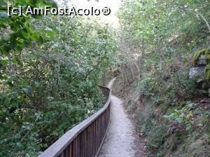 [P09] Morile de apă de pe Valea Rudăriei » foto by Cris
 - 
<span class="allrVoted glyphicon glyphicon-heart hidden" id="av833251"></span>
<a class="m-l-10 hidden" id="sv833251" onclick="voting_Foto_DelVot(,833251,15101)" role="button">șterge vot <span class="glyphicon glyphicon-remove"></span></a>
<a id="v9833251" class=" c-red"  onclick="voting_Foto_SetVot(833251)" role="button"><span class="glyphicon glyphicon-heart-empty"></span> <b>LIKE</b> = Votează poza</a> <img class="hidden"  id="f833251W9" src="/imagini/loader.gif" border="0" /><span class="AjErrMes hidden" id="e833251ErM"></span>