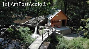 [P02]  -- <small>// FĂRĂ DESCRIERE</small> » foto by Traveleru
 - 
<span class="allrVoted glyphicon glyphicon-heart hidden" id="av1000986"></span>
<a class="m-l-10 hidden" id="sv1000986" onclick="voting_Foto_DelVot(,1000986,15101)" role="button">șterge vot <span class="glyphicon glyphicon-remove"></span></a>
<a id="v91000986" class=" c-red"  onclick="voting_Foto_SetVot(1000986)" role="button"><span class="glyphicon glyphicon-heart-empty"></span> <b>LIKE</b> = Votează poza</a> <img class="hidden"  id="f1000986W9" src="/imagini/loader.gif" border="0" /><span class="AjErrMes hidden" id="e1000986ErM"></span>