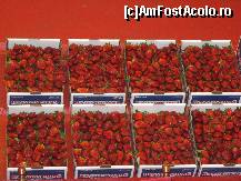 [P17] Frumos si sanatos in incheiere :) » foto by Darklocks
 - 
<span class="allrVoted glyphicon glyphicon-heart hidden" id="av191714"></span>
<a class="m-l-10 hidden" id="sv191714" onclick="voting_Foto_DelVot(,191714,15122)" role="button">șterge vot <span class="glyphicon glyphicon-remove"></span></a>
<a id="v9191714" class=" c-red"  onclick="voting_Foto_SetVot(191714)" role="button"><span class="glyphicon glyphicon-heart-empty"></span> <b>LIKE</b> = Votează poza</a> <img class="hidden"  id="f191714W9" src="/imagini/loader.gif" border="0" /><span class="AjErrMes hidden" id="e191714ErM"></span>