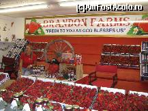 [P02] Stand cu vanzare » foto by Darklocks
 - 
<span class="allrVoted glyphicon glyphicon-heart hidden" id="av191699"></span>
<a class="m-l-10 hidden" id="sv191699" onclick="voting_Foto_DelVot(,191699,15122)" role="button">șterge vot <span class="glyphicon glyphicon-remove"></span></a>
<a id="v9191699" class=" c-red"  onclick="voting_Foto_SetVot(191699)" role="button"><span class="glyphicon glyphicon-heart-empty"></span> <b>LIKE</b> = Votează poza</a> <img class="hidden"  id="f191699W9" src="/imagini/loader.gif" border="0" /><span class="AjErrMes hidden" id="e191699ErM"></span>