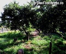 [P14] Merii plini de rod, si cateva gaini puturoase » foto by MCM
 - 
<span class="allrVoted glyphicon glyphicon-heart hidden" id="av458691"></span>
<a class="m-l-10 hidden" id="sv458691" onclick="voting_Foto_DelVot(,458691,15163)" role="button">șterge vot <span class="glyphicon glyphicon-remove"></span></a>
<a id="v9458691" class=" c-red"  onclick="voting_Foto_SetVot(458691)" role="button"><span class="glyphicon glyphicon-heart-empty"></span> <b>LIKE</b> = Votează poza</a> <img class="hidden"  id="f458691W9" src="/imagini/loader.gif" border="0" /><span class="AjErrMes hidden" id="e458691ErM"></span>