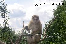 [P26]  -- <small>// FĂRĂ DESCRIERE</small> » foto by icata24
 - 
<span class="allrVoted glyphicon glyphicon-heart hidden" id="av459033"></span>
<a class="m-l-10 hidden" id="sv459033" onclick="voting_Foto_DelVot(,459033,15184)" role="button">șterge vot <span class="glyphicon glyphicon-remove"></span></a>
<a id="v9459033" class=" c-red"  onclick="voting_Foto_SetVot(459033)" role="button"><span class="glyphicon glyphicon-heart-empty"></span> <b>LIKE</b> = Votează poza</a> <img class="hidden"  id="f459033W9" src="/imagini/loader.gif" border="0" /><span class="AjErrMes hidden" id="e459033ErM"></span>