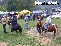 [P03] poneii despre care spuneam in review » foto by chelie_d
 - 
<span class="allrVoted glyphicon glyphicon-heart hidden" id="av144202"></span>
<a class="m-l-10 hidden" id="sv144202" onclick="voting_Foto_DelVot(,144202,15195)" role="button">șterge vot <span class="glyphicon glyphicon-remove"></span></a>
<a id="v9144202" class=" c-red"  onclick="voting_Foto_SetVot(144202)" role="button"><span class="glyphicon glyphicon-heart-empty"></span> <b>LIKE</b> = Votează poza</a> <img class="hidden"  id="f144202W9" src="/imagini/loader.gif" border="0" /><span class="AjErrMes hidden" id="e144202ErM"></span>