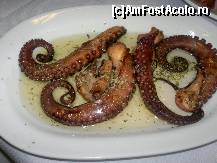 [P03] Caracatita » foto by Aristiti
 - 
<span class="allrVoted glyphicon glyphicon-heart hidden" id="av459597"></span>
<a class="m-l-10 hidden" id="sv459597" onclick="voting_Foto_DelVot(,459597,15198)" role="button">șterge vot <span class="glyphicon glyphicon-remove"></span></a>
<a id="v9459597" class=" c-red"  onclick="voting_Foto_SetVot(459597)" role="button"><span class="glyphicon glyphicon-heart-empty"></span> <b>LIKE</b> = Votează poza</a> <img class="hidden"  id="f459597W9" src="/imagini/loader.gif" border="0" /><span class="AjErrMes hidden" id="e459597ErM"></span>