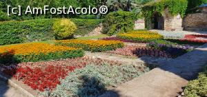 [P16] crâmpei din grădina botanică - domeniul regal de la Balcik » foto by zapacitu
 - 
<span class="allrVoted glyphicon glyphicon-heart hidden" id="av1241926"></span>
<a class="m-l-10 hidden" id="sv1241926" onclick="voting_Foto_DelVot(,1241926,15216)" role="button">șterge vot <span class="glyphicon glyphicon-remove"></span></a>
<a id="v91241926" class=" c-red"  onclick="voting_Foto_SetVot(1241926)" role="button"><span class="glyphicon glyphicon-heart-empty"></span> <b>LIKE</b> = Votează poza</a> <img class="hidden"  id="f1241926W9" src="/imagini/loader.gif" border="0" /><span class="AjErrMes hidden" id="e1241926ErM"></span>
