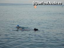 [P21] snorkeling cat cuprinde » foto by turist_calatorescu*
 - 
<span class="allrVoted glyphicon glyphicon-heart hidden" id="av460648"></span>
<a class="m-l-10 hidden" id="sv460648" onclick="voting_Foto_DelVot(,460648,15224)" role="button">șterge vot <span class="glyphicon glyphicon-remove"></span></a>
<a id="v9460648" class=" c-red"  onclick="voting_Foto_SetVot(460648)" role="button"><span class="glyphicon glyphicon-heart-empty"></span> <b>LIKE</b> = Votează poza</a> <img class="hidden"  id="f460648W9" src="/imagini/loader.gif" border="0" /><span class="AjErrMes hidden" id="e460648ErM"></span>