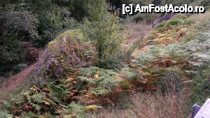 [P55] Devin - spre traseul ecoturistic Struiliţa - Kaleto - Lîcata / peisaj de început de toamnă » foto by Dragoș_MD
 - 
<span class="allrVoted glyphicon glyphicon-heart hidden" id="av464591"></span>
<a class="m-l-10 hidden" id="sv464591" onclick="voting_Foto_DelVot(,464591,15256)" role="button">șterge vot <span class="glyphicon glyphicon-remove"></span></a>
<a id="v9464591" class=" c-red"  onclick="voting_Foto_SetVot(464591)" role="button"><span class="glyphicon glyphicon-heart-empty"></span> <b>LIKE</b> = Votează poza</a> <img class="hidden"  id="f464591W9" src="/imagini/loader.gif" border="0" /><span class="AjErrMes hidden" id="e464591ErM"></span>