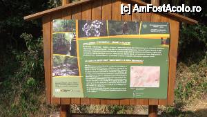 [P59] Devin - traseul ecoturistic Struiliţa - Kaleto - Lîcata / despre traseu » foto by Dragoș_MD
 - 
<span class="allrVoted glyphicon glyphicon-heart hidden" id="av464605"></span>
<a class="m-l-10 hidden" id="sv464605" onclick="voting_Foto_DelVot(,464605,15256)" role="button">șterge vot <span class="glyphicon glyphicon-remove"></span></a>
<a id="v9464605" class=" c-red"  onclick="voting_Foto_SetVot(464605)" role="button"><span class="glyphicon glyphicon-heart-empty"></span> <b>LIKE</b> = Votează poza</a> <img class="hidden"  id="f464605W9" src="/imagini/loader.gif" border="0" /><span class="AjErrMes hidden" id="e464605ErM"></span>