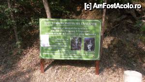 [P62] Devin - traseul ecoturistic Struiliţa - Kaleto - Lîcata / panou informativ despre una dintre atracțiile traseului - cascada Samodivsko prâskalo.  » foto by Dragoș_MD
 - 
<span class="allrVoted glyphicon glyphicon-heart hidden" id="av464657"></span>
<a class="m-l-10 hidden" id="sv464657" onclick="voting_Foto_DelVot(,464657,15256)" role="button">șterge vot <span class="glyphicon glyphicon-remove"></span></a>
<a id="v9464657" class=" c-red"  onclick="voting_Foto_SetVot(464657)" role="button"><span class="glyphicon glyphicon-heart-empty"></span> <b>LIKE</b> = Votează poza</a> <img class="hidden"  id="f464657W9" src="/imagini/loader.gif" border="0" /><span class="AjErrMes hidden" id="e464657ErM"></span>