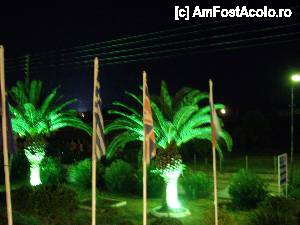 [P04] chiparosi in gradina hotelului » foto by andreeabv
 - 
<span class="allrVoted glyphicon glyphicon-heart hidden" id="av462141"></span>
<a class="m-l-10 hidden" id="sv462141" onclick="voting_Foto_DelVot(,462141,15260)" role="button">șterge vot <span class="glyphicon glyphicon-remove"></span></a>
<a id="v9462141" class=" c-red"  onclick="voting_Foto_SetVot(462141)" role="button"><span class="glyphicon glyphicon-heart-empty"></span> <b>LIKE</b> = Votează poza</a> <img class="hidden"  id="f462141W9" src="/imagini/loader.gif" border="0" /><span class="AjErrMes hidden" id="e462141ErM"></span>