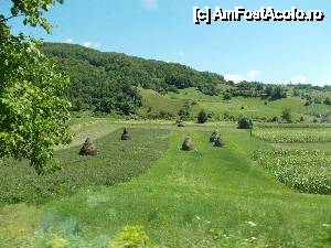 [P15]  -- <small>// FĂRĂ DESCRIERE</small> » foto by geta10
 - 
<span class="allrVoted glyphicon glyphicon-heart hidden" id="av462402"></span>
<a class="m-l-10 hidden" id="sv462402" onclick="voting_Foto_DelVot(,462402,15274)" role="button">șterge vot <span class="glyphicon glyphicon-remove"></span></a>
<a id="v9462402" class=" c-red"  onclick="voting_Foto_SetVot(462402)" role="button"><span class="glyphicon glyphicon-heart-empty"></span> <b>LIKE</b> = Votează poza</a> <img class="hidden"  id="f462402W9" src="/imagini/loader.gif" border="0" /><span class="AjErrMes hidden" id="e462402ErM"></span>