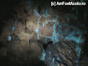 [P17]  -- <small>// FĂRĂ DESCRIERE</small> » foto by geta10
 - 
<span class="allrVoted glyphicon glyphicon-heart hidden" id="av462404"></span>
<a class="m-l-10 hidden" id="sv462404" onclick="voting_Foto_DelVot(,462404,15274)" role="button">șterge vot <span class="glyphicon glyphicon-remove"></span></a>
<a id="v9462404" class=" c-red"  onclick="voting_Foto_SetVot(462404)" role="button"><span class="glyphicon glyphicon-heart-empty"></span> <b>LIKE</b> = Votează poza</a> <img class="hidden"  id="f462404W9" src="/imagini/loader.gif" border="0" /><span class="AjErrMes hidden" id="e462404ErM"></span>