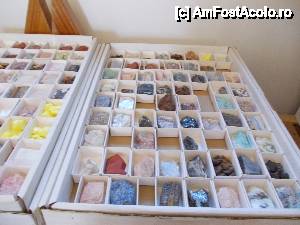 [P22]  -- <small>// FĂRĂ DESCRIERE</small> » foto by geta10
 - 
<span class="allrVoted glyphicon glyphicon-heart hidden" id="av462409"></span>
<a class="m-l-10 hidden" id="sv462409" onclick="voting_Foto_DelVot(,462409,15274)" role="button">șterge vot <span class="glyphicon glyphicon-remove"></span></a>
<a id="v9462409" class=" c-red"  onclick="voting_Foto_SetVot(462409)" role="button"><span class="glyphicon glyphicon-heart-empty"></span> <b>LIKE</b> = Votează poza</a> <img class="hidden"  id="f462409W9" src="/imagini/loader.gif" border="0" /><span class="AjErrMes hidden" id="e462409ErM"></span>