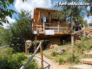 [P24]  -- <small>// FĂRĂ DESCRIERE</small> » foto by geta10
 - 
<span class="allrVoted glyphicon glyphicon-heart hidden" id="av462411"></span>
<a class="m-l-10 hidden" id="sv462411" onclick="voting_Foto_DelVot(,462411,15274)" role="button">șterge vot <span class="glyphicon glyphicon-remove"></span></a>
<a id="v9462411" class=" c-red"  onclick="voting_Foto_SetVot(462411)" role="button"><span class="glyphicon glyphicon-heart-empty"></span> <b>LIKE</b> = Votează poza</a> <img class="hidden"  id="f462411W9" src="/imagini/loader.gif" border="0" /><span class="AjErrMes hidden" id="e462411ErM"></span>